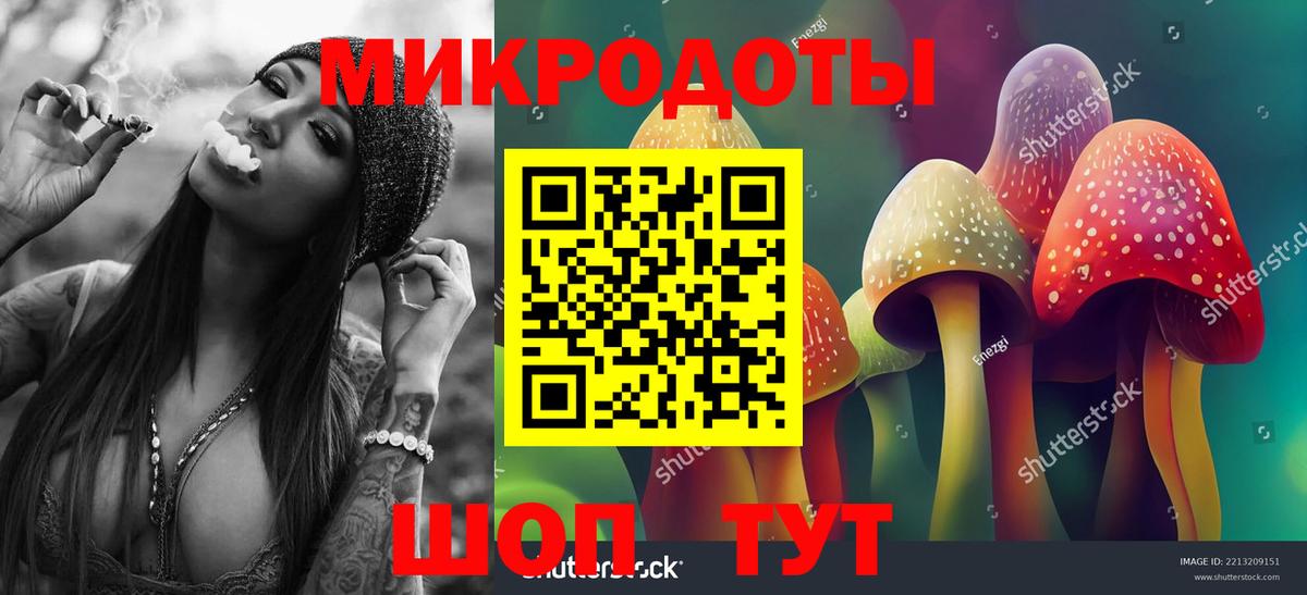 Чистополь  Псилоцибиновые грибы GOLDEN TEACHER  Вход с VPN 